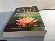 The Soul's Plan by Robert Schwartz picture