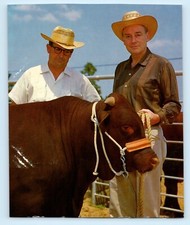 Winrock Farms Morrilton Arkansas Owner & General Manager Oversized Postcard C1 picture