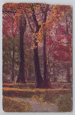 Postcard Antique Autumn Forest Path Fall Foliage Nature Woods picture