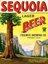 Sequoia Lager Beer Yosemite Brewing  Metal Sign 9