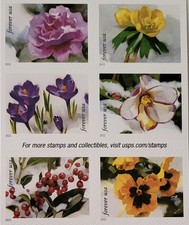 2023 - 20 FOREVER FIRST CLASS LETTER STAMPS SNOWY BEAUTY MNH BOOK PANE  picture