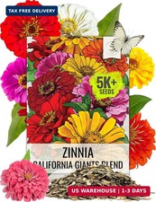 Seed Needs Zinnia Seeds California Giants Mix 5,000 Seeds Bulk Pack picture