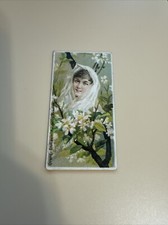 c1880's N75 Duke Tobacco Card - Floral Beauties Series - Orange Blossom Maidenly picture