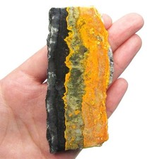 Bumblebee Jasper yellow gold mineral slice polished gemstone Madagascar picture