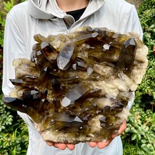 10.5LB  New Black Phantom Quartz Crystal Cluster Mineral Specimen Spiritual The picture