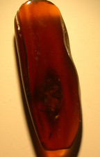 Beautiful Cherry RED Burmese Amber Fossil with LARGE 14 mm Roach Dinosaur Age picture