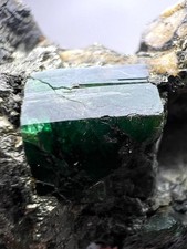 205 CT. Top Green Panjshir Emerald Crystal On Pyrite - AFG picture