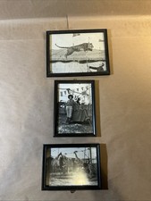 Group Of 3 Original 1931 Framed Ringling Bros. Circus Photos As Is INV-AA29 picture