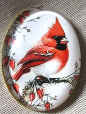 XL GLASS PICTURE BUTTON  GORGEOUS BABY RED CARDINAL BIRD IN TREE - 1-1/2 picture