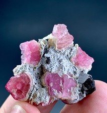 61 Carat Pink Tourmaline Crystal  Specimen From Afghanistan picture
