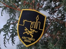 Arc'teryx LEAF Seoul Korea Patch Shield Devgru NSW Navy Seal Crye Aor1 Aor2 RARE picture