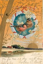 UDB Embossed Tuck Art Postcard 3473 Rays of Golden Sun, Birds in Wreath, 1902 picture