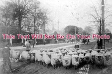 NF 392 - Newmarket Road, Norwich, Norfolk c1906 picture