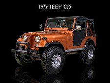 1975 Jeep CJ5 in Bronze Metal Sign: 12x16