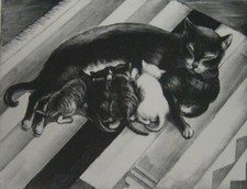 The Family (Cats) : Mabel Dwight : 1928 : Archival Quality Art Print 11x17 picture