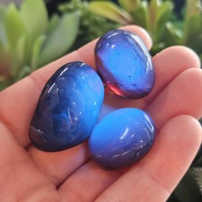 Blue Amber Specimen, Polished Amber from Indonesia picture