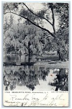 1906 Seabury's Pond Lake Park Forest Classic Jeep House Hempstead N.Y. Postcard picture