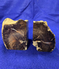 Vintage Petrified Wood Bookends Natural Agate Stone Heavy Tree Fossil 1 Pair MCM picture