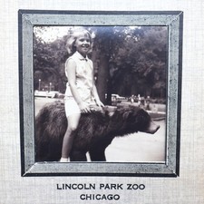 Vintage Lincoln Park Zoo Photo Girl Sitting on Stuffed Taxidermy Bear Chicago picture