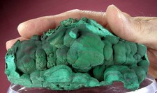 RICH GREEN VELVET MALACHITE CRYSTALS GROUP, MASHAMBA, CONGO GLOBE MINERALS picture