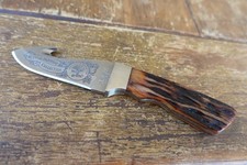 Bear MGC USA Fixed blade knife, unused Bone Stag picture