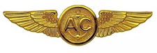 USN Aircrew Wings Badge Pin USMC Marine Coast Guard Gold Plated US Navy Air Crew picture