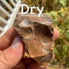 Gorgeous Brown Dendritic Jasper Rough 2.22 Oz picture