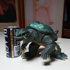 This is Gamera. picture
