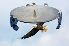Eagle Aztec Haida GLEN RABENA INPACIFIC NORTHWEST Native Eskimo candle holder picture