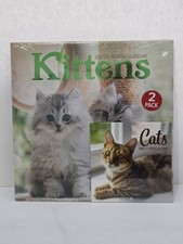 2027 KITTENS  12