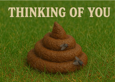 💩 Thinking of You – Pile of Crap Prank Postcard 🐶 Sent Anonymously To Victim picture