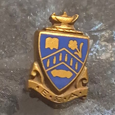 Blue & Gold Enamel Shield Crest Lapel Pin Tie Tack Clutch Back Floral picture