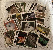 1980’s National Geographic World Trading Cards - Lot Of 62 - Animals & More picture