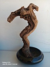 Vintage Potted Grapevine  Nature Made Crucified Jesus Serpent Crown Art Piece  picture