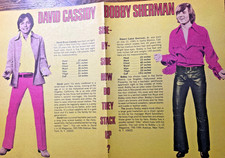 1971 Vintage Poster David Cassidy & Bobby Sherman ** Wall Art ** picture