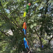 Parrots On a Rope Hanging Bird Statues Hand Crafted 3 birds 8 1/2 x 3 inch picture