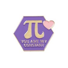 You Are My Constant Enamel Pin - Pi 3.14 3.14159265359 Irrational Humor Math i picture
