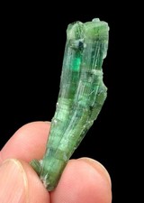 15 Cts Natural Cat’s Eye Tourmaline Crystal Bunch – Beautiful Afghan Specimen picture