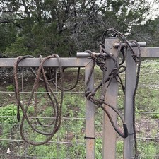 Rare Antique Hand Braided Leather Horse Halter Integrated Lead Vaquero Mint 19ft picture
