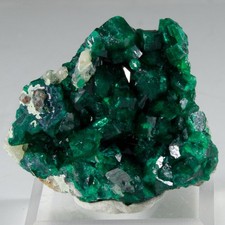 Fantastic DIOPTASE & CALCITE Miniature - Democratic Republic of Congo picture