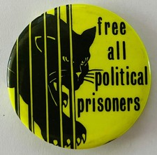 Black Panther Party Vintage 1960's button Free All Political Prisoners protest picture