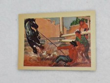 1956 Adventure Gum Card #68 Breaking a Horse... Cowboy Style picture