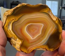 Banded Sumatra Agate Nodule Half • Polished Indonesian Agate - Top Polish picture