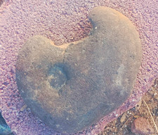 Heart-Shaped Natural Brown Stone/Rock Object Specimen, Unidentified Stone picture