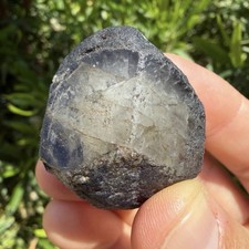 Brazilian Phenacite Crystal, Carnaíba Mine, Bahia, Translucent, 48.13g/240.65ct picture