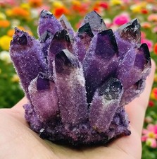 Rare Natural Amethyst Ghost Phantom Quartz Cluster | Crystal Healing Specimen picture