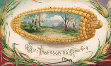 Postcard Thanksgiving Greeting Landscape Framed in Ear of Corn Winsch Post 1912 picture