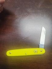 Yellow  4