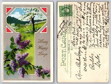 1913 La Junta CO Postcard Lilacs & Blossoming Tree 