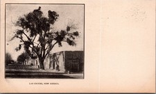 Las Cruces New Mexico Vintage Postcard Presbyterian Missions Tree Adobe picture